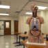 Students in the HOSA club, Health Occupations Students of America will be attending the Spring Leadership Conference in Irving later this month.