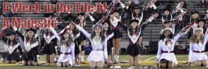A week in the life of: A Majestic