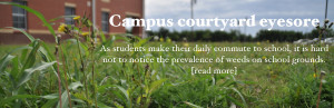 Campus courtyard eyesore