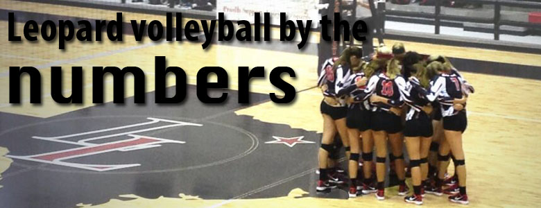 Leopard volleyball by the numbers