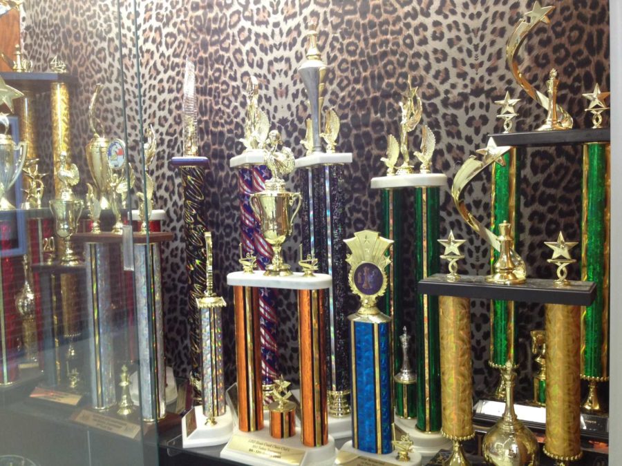 Sport of the Mind, the schools chess club, has won various trophies through the years.