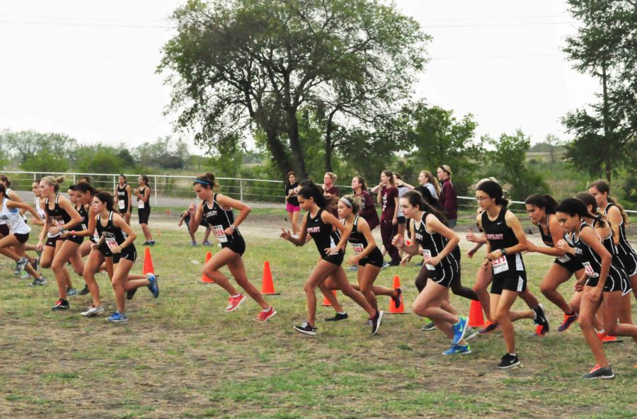 Cross country ready for Region II Championship