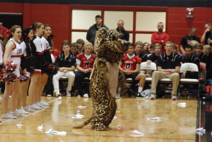 The leopard mascot dances to fight song.