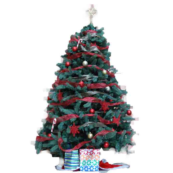 To+spread+Christmas+spirit%2C++teachers+have+decorated+their+class+rooms+with+Christmas+trees%2C+lights%2C+and+ornaments.