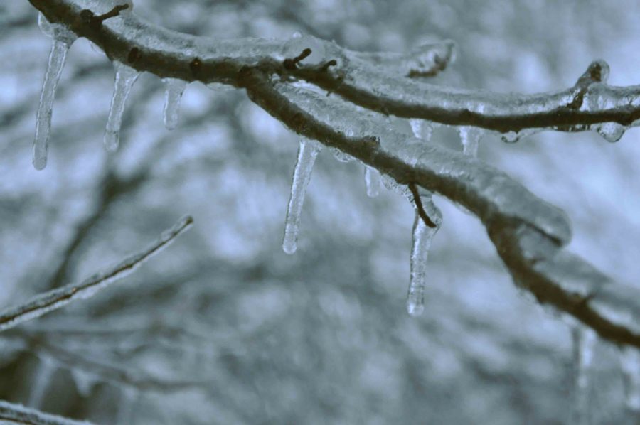 Students woke up Friday morning to what they thought was snow- but was actually a layer of ice shrouding everything from the streets to a left-out basketball.