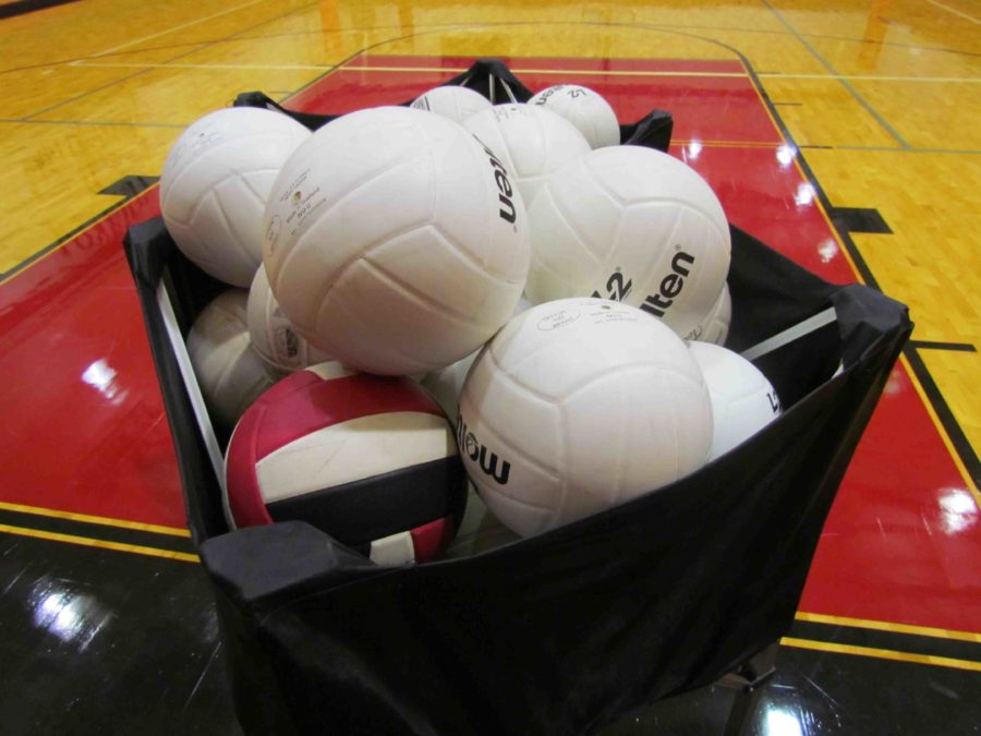 Mens volleyball team set to launch
