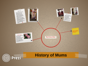 History of mums