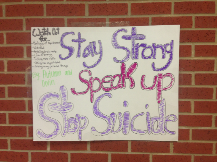 Recently, many suicide prevention posters have been posted around the school. However, many believe these posters are insensitive and ineffective.