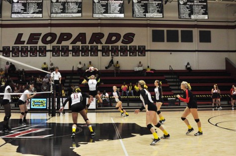 With her teammates awaiting the ball, junior Jordan Fate gets ready to set the ball.