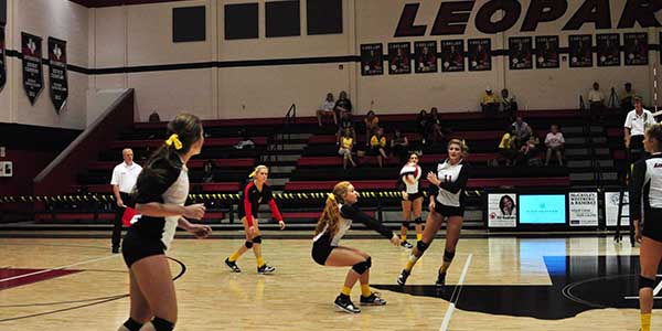 While district playoffs were not as successful as planned, varsity volleyball still plans on being an aggressive competitor in the run for state.