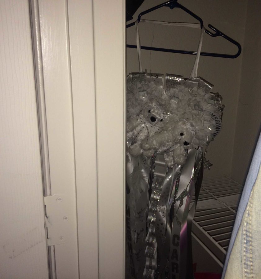 Alone in the back of her owners closet, a homecoming mum laments on her past.
