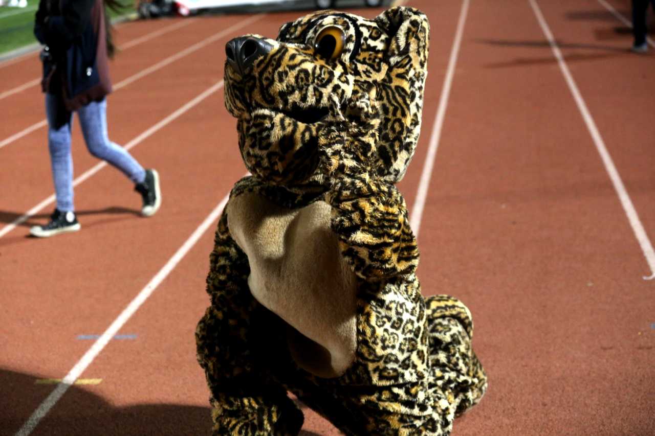 Senior Mackenzie Patrick was the middle school mascot in tenth grade, and now has been the high school mascot for three years.