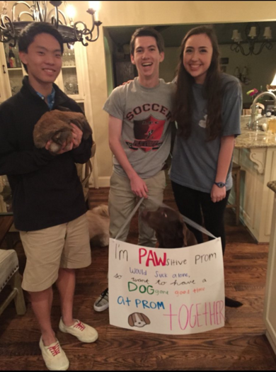 Collin McCutcheon used a furry friend to ask his date Caroline Smith to prom.