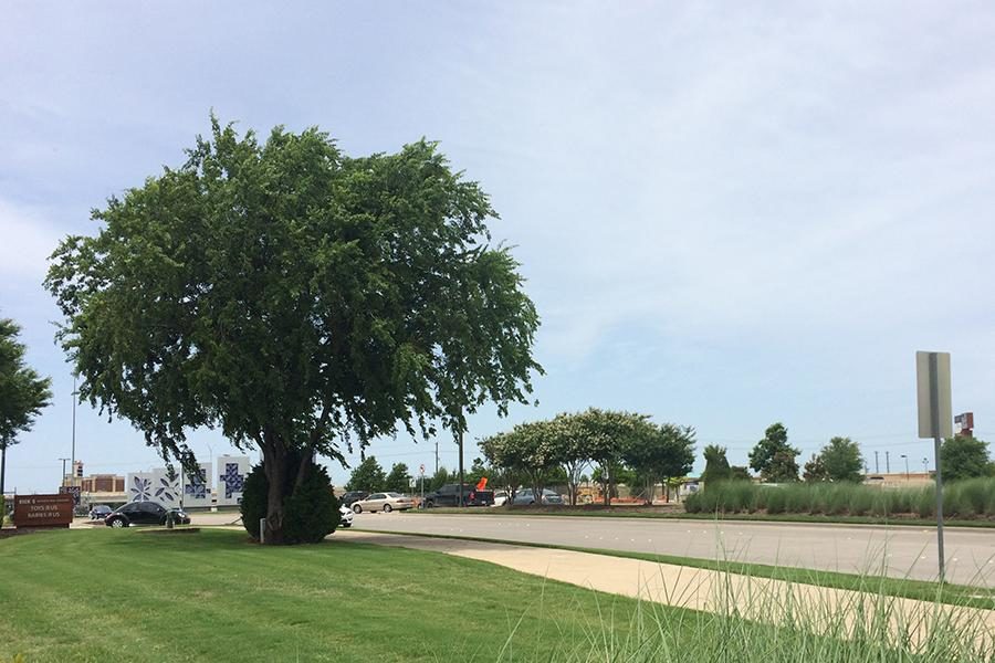 Recent construction has impacted traffic along Stacy Road in Allen and Fairview.