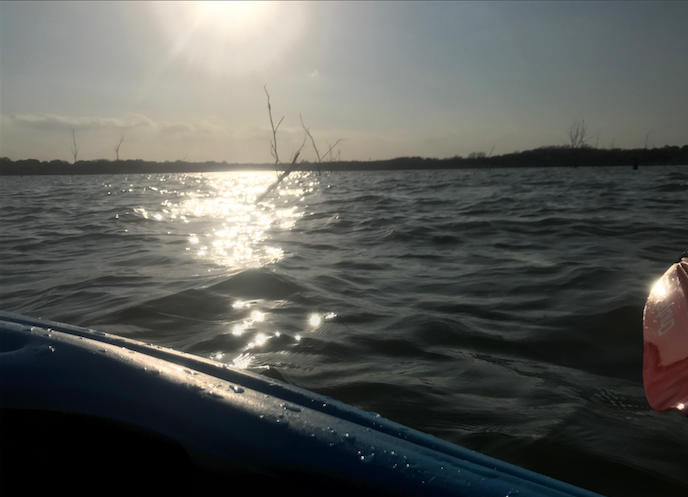 This Saturday, the Environmental Club will be clearing Flood Debris from Lake Lavon, featured above.