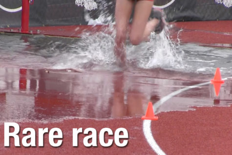 Rare race