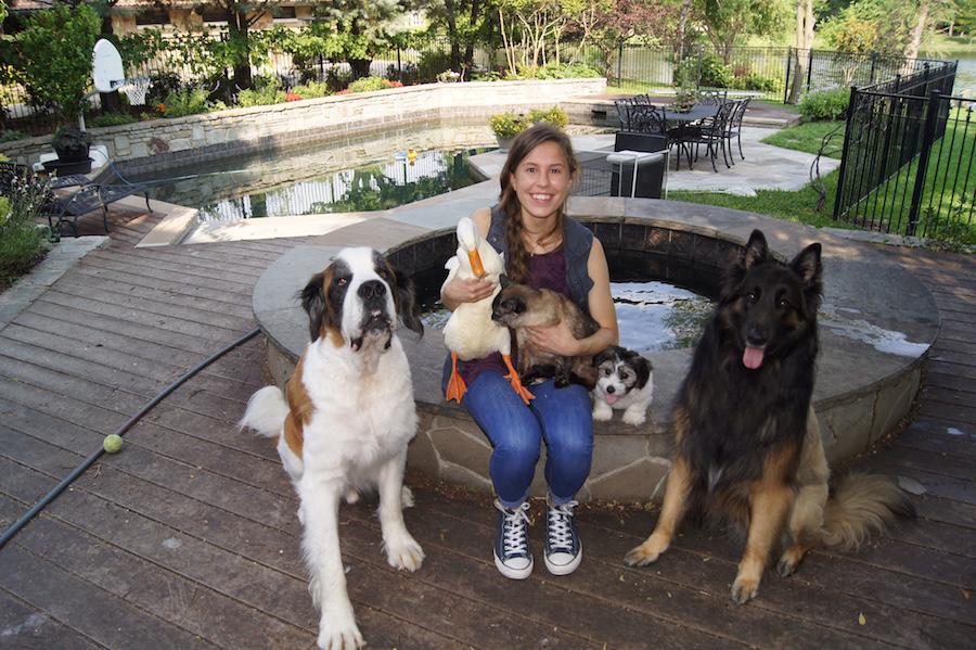Junior+Meredith+Ehlmann+has+her+hands+full+with+the+30+animals+she+takes+care+of.
