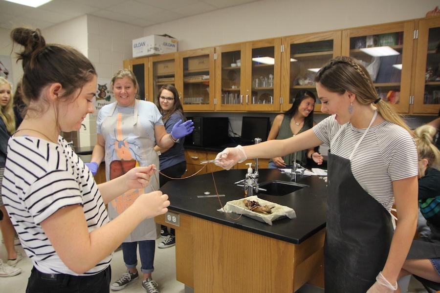 Theresa Dollinger works with seniors Abby Eaton and Eleise Brooks during rat dissections.