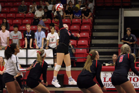 Volleyball to host Denison on senior night