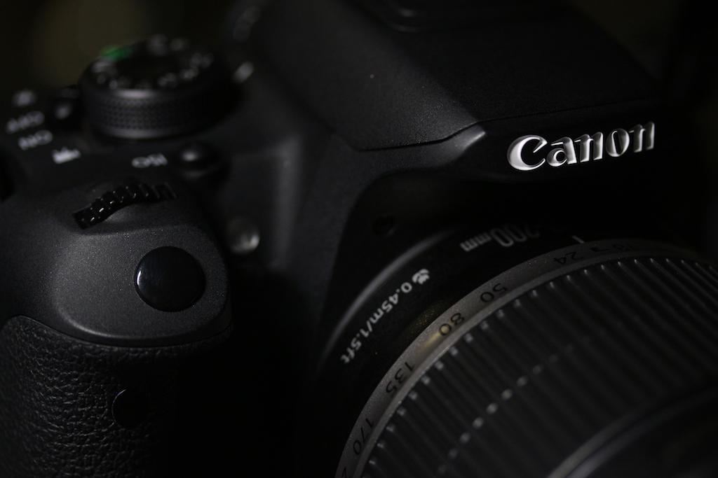Senior+pictures+are+something+many+people+experience%2C+whether+taking+or+modeling%2C+during+12th+grade.++
