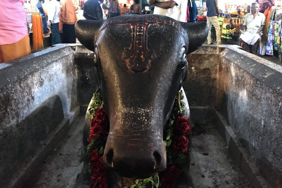Originally, this Nandu, or bull statue, was the only statue in this room of the temple. Commercialization and tourism prompted souvenir stalls to set up shop.