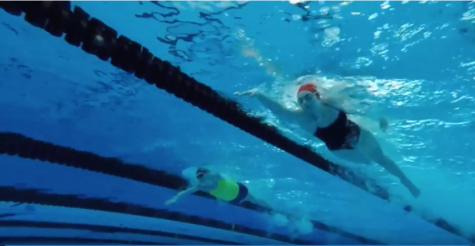 Video: Swim dives into state