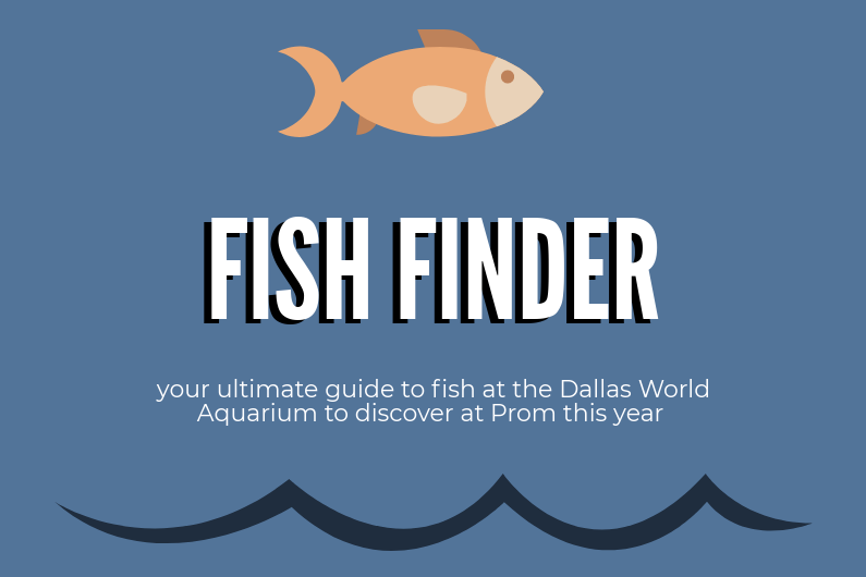 Prom to be held at the Dallas World Aquarium on April 14 from 8-11 p.m.