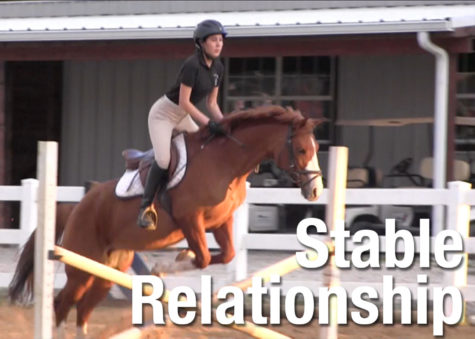 Video: Stable Relationship