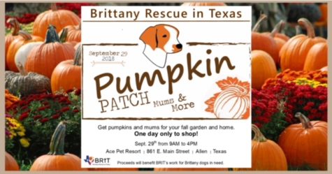 Brittany Rescue in Texas is hosting a pumpkin patch with the purpose to [provide] help to Brittanys dogs in need. 
