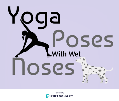Puppy poses