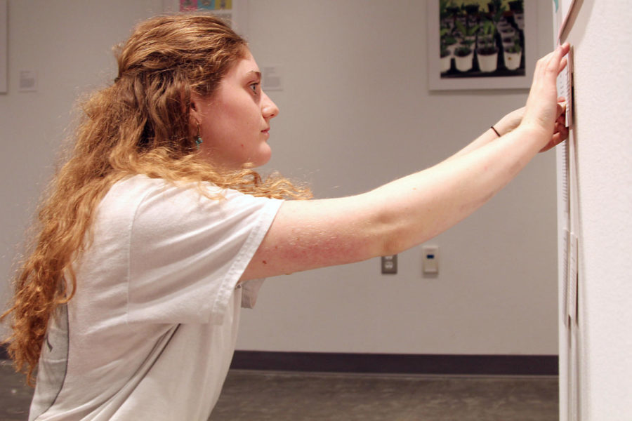 Senior Katie Miller attaches a card with information about some of the artwork that will be displayed in the E Hall gallery for the second annual LHS Visual Art Exhibition. The show opens Wednesday, Nov. 8, and runs through Nov. 16.