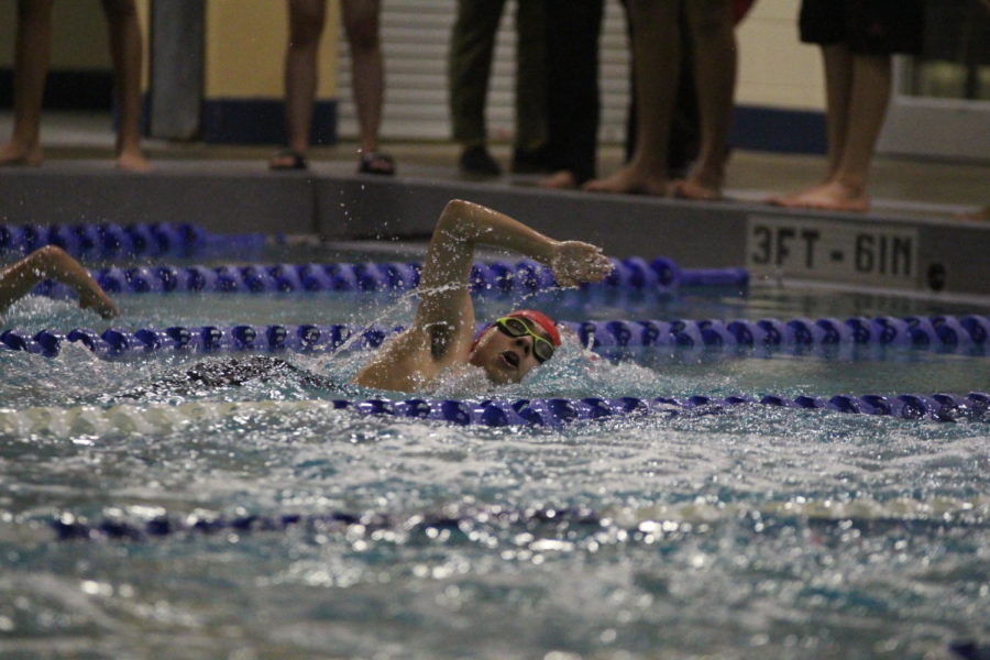 The swim and dive team has advanced 8 swimmers and 1 diver to state in Austin. 