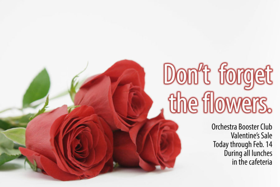 Roses and chocolates will be on sale through Valentines Day. All proceeds benefit the orchestra program.