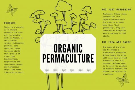 The Organic Permaculture club hopes to sell their produce at the Lucas Farmers Market in the future.