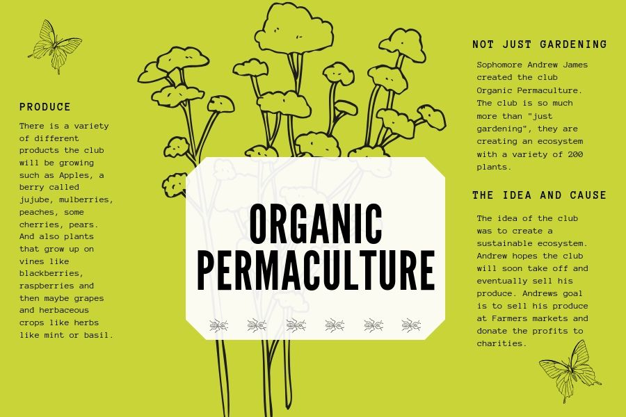 The+Organic+Permaculture+club+hopes+to+sell+their+produce+at+the+Lucas+Farmers+Market+in+the+future.