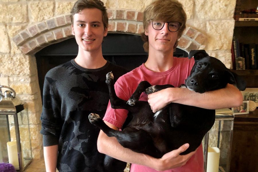 Seniors Ryan Schlimme (left) and Braden Schlimme (right) rescued their new dog, Bailey. Braden said he was 