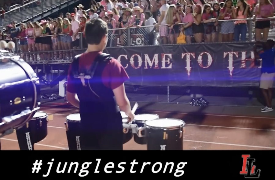 Leopard Pause: Leopard strong