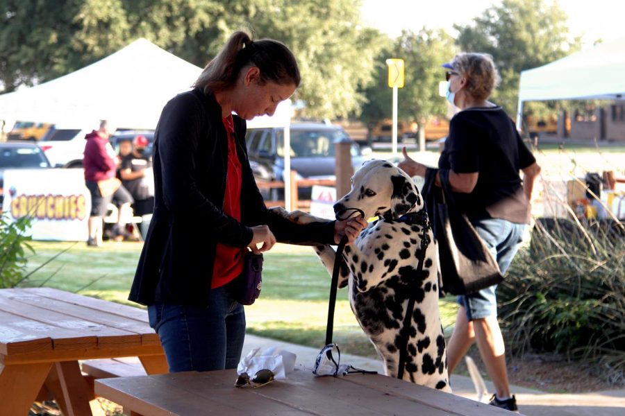 A community member plays with their dog. Many people brought their dogs to walk around the farmers market. 