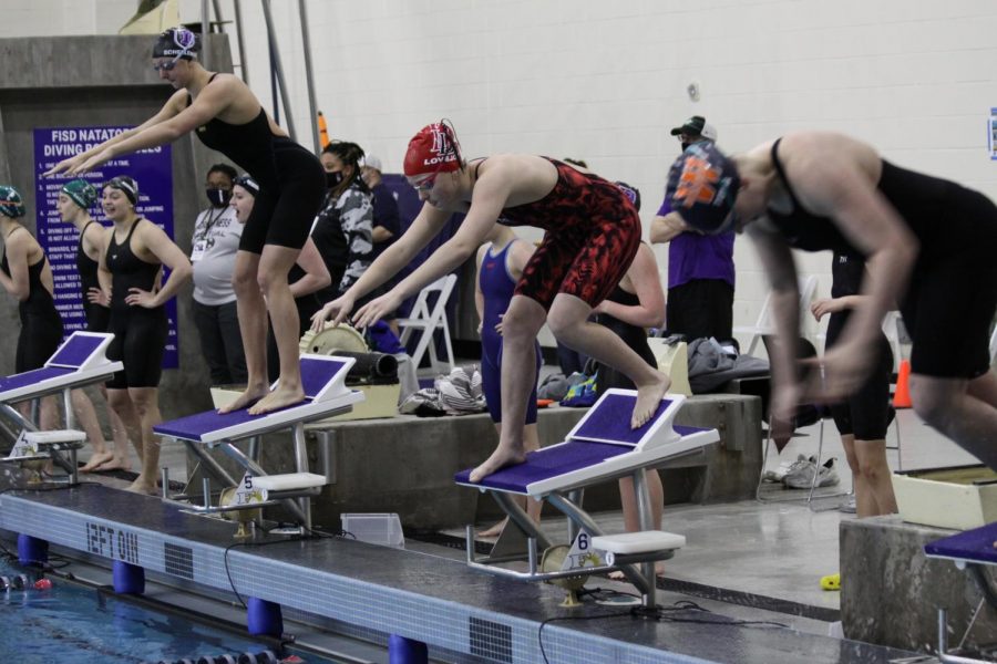 Junior Emmerson Dingwerth dives into the pool at the district meet. Dingworth was the only member of the girls swim team to qualify for state. 