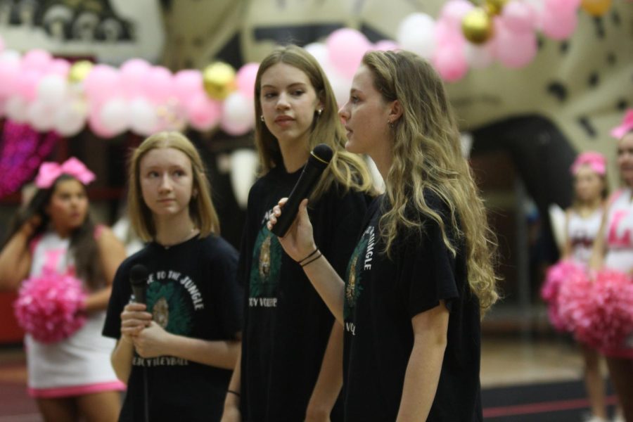 Seniors Maci Perkins, Grace Miliken, and Meghan Diercks speak about the upcoming volleyball game and their season. The volleyball team is currently 28-6 in the overall season. 
