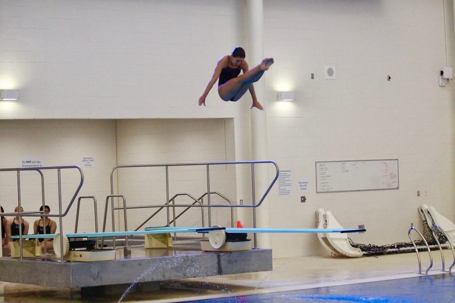 Sophomore Maria Faoro dives for the school, Dallas Metroplex Diving, and USA Diving. At the first meet of the year she won with a score of 252.70.