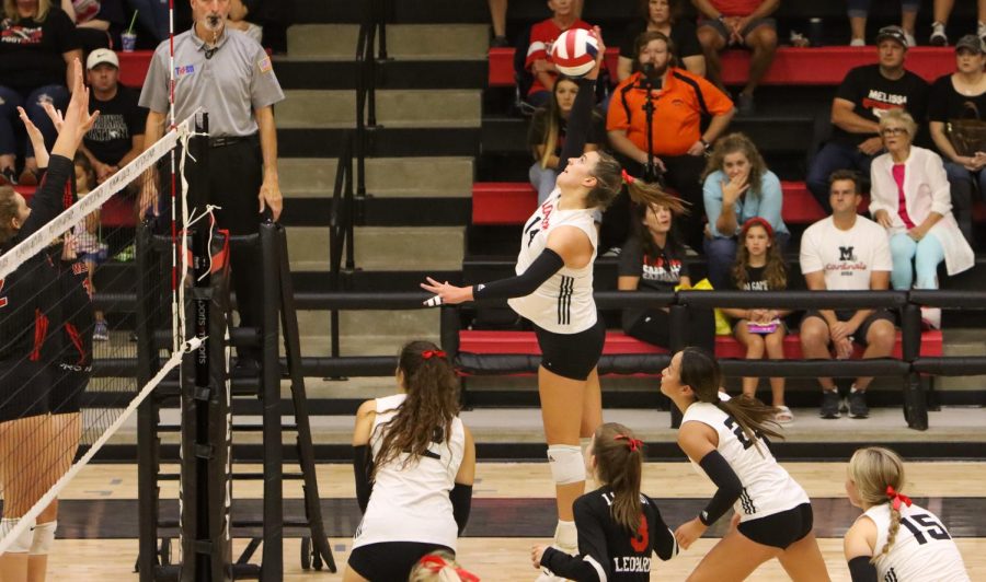 Senior no.14 Charlotte Wilson jumps up for a spike. The Leopards won in straight sets 3-0.