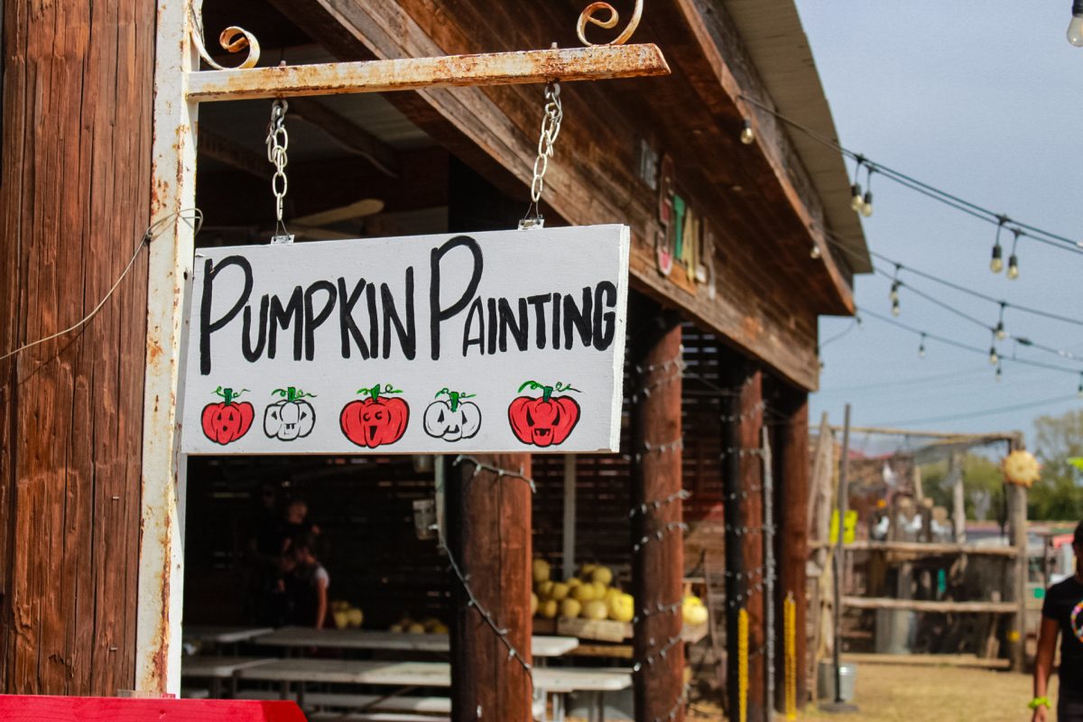 At Lola’s Local Market, there are activities such as pumpkin painting. 