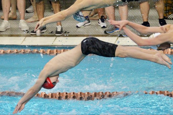 Junior Sean Easley dives into the water at the state meet. 